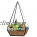 Metal Glass Candle Holder Terrarium Container Plants Flower Plant Pot - 6 styles   202352667667
